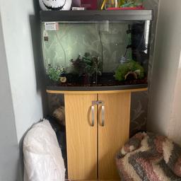 Needs abit cleaning other wise in good condition, comes with all accessories shown in  picture and in tank 
Air pump with two tubes with 
Two light setting blue and normal 
3’7 by 2 ft 

Repost for better photos