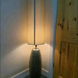 Tall floor Lamp only £79 ono

Modern design
Relaxing
In good condition
Ideal for homes