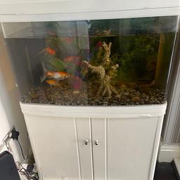 Large fish tank with cabinet including 5 gold fishes .
Fish tank and cabinet need some improvement but still in good condition filter doesn’t work properly.
