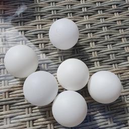 NEW 6 white ping pong table tennis balls
COLLECTION FROM WV3 7BT