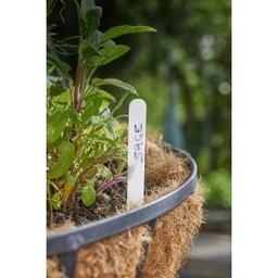 Plant Labels 1 box of 50 

Reusable rot proof plant labels which can be used in pots and tied to plants. Plastic. Size: L10cm

Brand new 
Available for collection Blackpool or postage