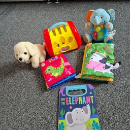 2 sensory books
Wooden book
Musical elephant will need new battries
Dog and cary case 
None have been used few slight marks on cary case from been stored