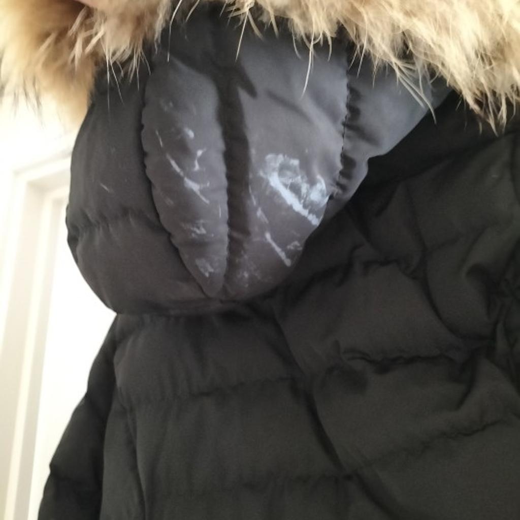 Moncler woman's coat

Please see all labels and QR code to prove authenticity

I'm a size 10 fits me perfect.

Couple stains as shown I can't get off so selling and this has been reflected in price. zipper works fine but outside could be replaced (easy fix)

The coat was bought for £800 new