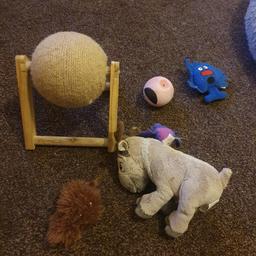 cat toys,all for £5