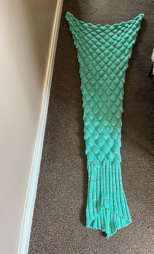 Buy & Sell Derbyshire Amber Valley - Photos for Mermaid blanket