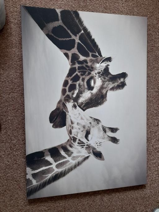 Buy & Sell Staffordshire Lichfield - Photos for Mom and Baby Giraffe Canvas