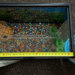 Starter fish tank for sale 31cm good condition just needs a clean

Pick up