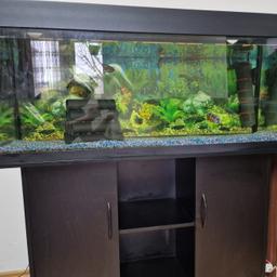 250 Liter Aquarium mit allem Zubehör preis verhandelbar 