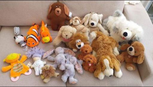 Buy & Sell West Midlands Walsall - Photos for Soft Toys 50p - £2