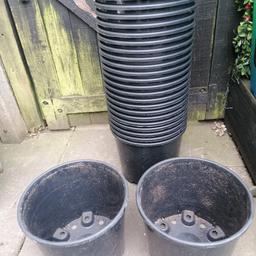 Large plant pots. £10 approximately 30 altogether. Can deliver local for fuel.