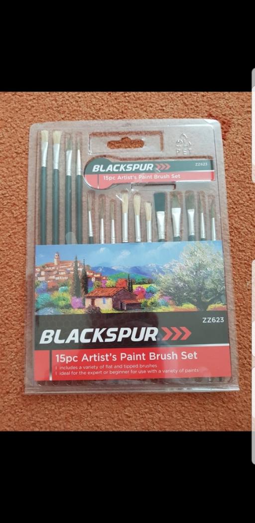 further learning Lancashire Blackpool - Photos for 15 piece artists paint brushes NEW