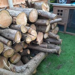 large pile of logs ideal for drying and burning 🔥,  garden ornaments or cat pen border decoration 
collection from Blackpool fy4 only
