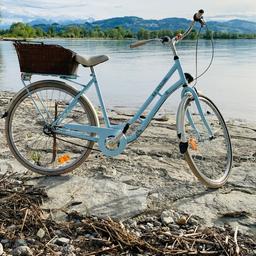 Damen Fahrrad 29 Zoll + Korb + neue Reifen 
Ohne Fahrrad Ständer