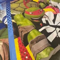 Single reversible turtles duvet cover. Hardly used been on bed in spare room. No pillow case. Collection from FY1 6LJ