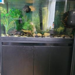 3ft fish tank 
them fish not included but have got smaller fish to put init.
comes with heater,filter,airpump some plants light not working 
collection from tyseley