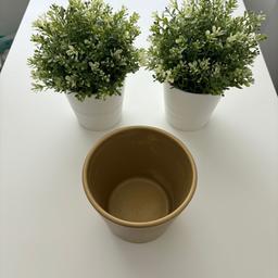 Two IKEA planta + 3 plant pots