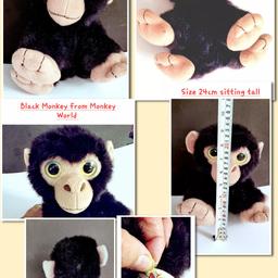 MONKEY MEDIUM CUDDLY SOFT BLACK MONKEY TOY FROM MONKEY WORLD
Monkey lovely cuddles He's well sits really nice
Black colour
Big black yellow eyes Big beige nose 
Big beige ears Small fury tail
Soft Cute Fury Cute face
Brand Monkey world
Monkey hand wash gentle hang dry 
Size
Flat on table from bum to top of his head approx 24cm tall
Condition
Pre-owned used item in great condition