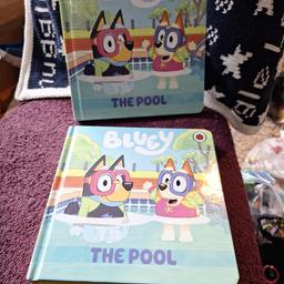 New Bluey The Pool..
2 available Retail 6.99.
2.00 EACH
