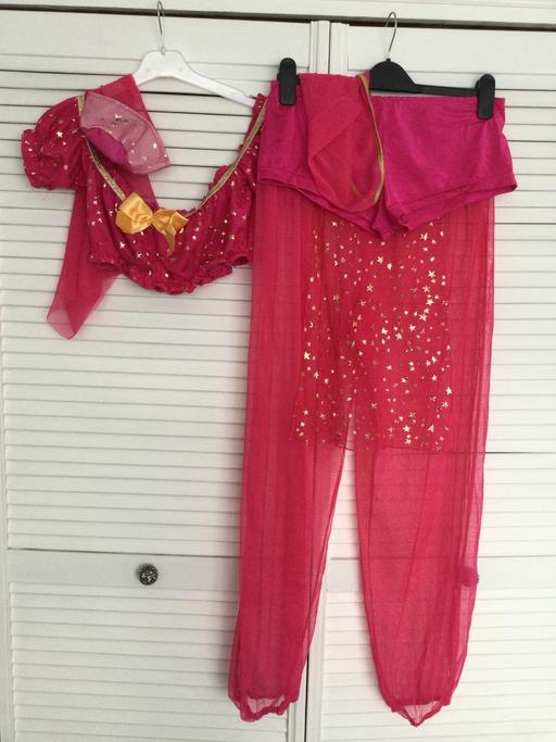 Buy & Sell Hertfordshire Broxbourne - Photos for Aladdin Fancy Dress Costume Size XL