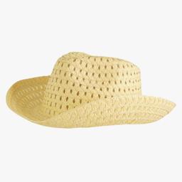Hat Cowboy Straw Style Hat to Decorate Children’s Parades Accessory...