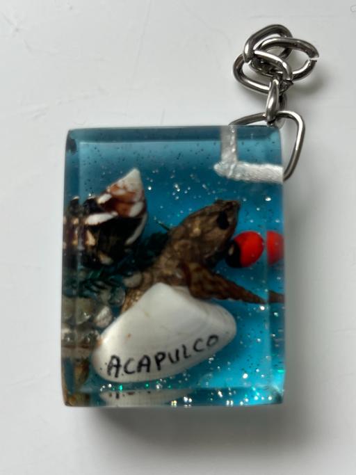 further learning North Yorkshire Harwood Dale - North Yorkshire - Photos for KEY RING - ACAPULCO TURTLE & SHELLS