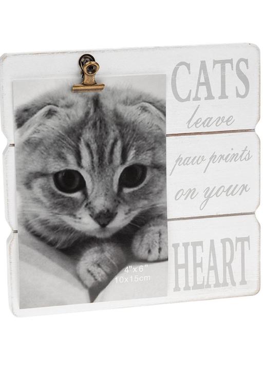 Buy & Sell Lancashire Blackpool - Photos for Clip Frame Cats