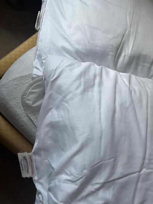 Buy & Sell Central London Temple - WC2 - Photos for Pair of pillows