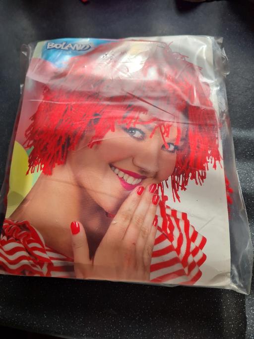 Buy & Sell Kent Medway - Kent - Photos for red boland fancy dress adults wig