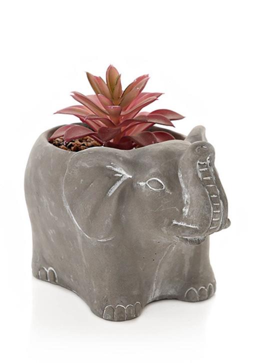 Buy & Sell Lancashire Blackpool - Photos for Elephant Planter with Succulent