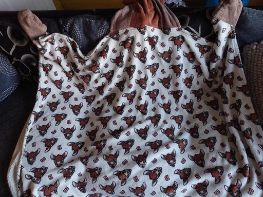 Buy & Sell Leicestershire Charnwood - Photos for Bambi hooded blanket