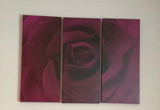 Buy & Sell Kent Medway - Kent - Photos for Three piece canvas picture