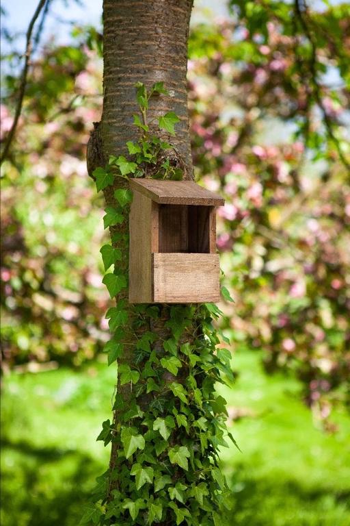 Buy & Sell Lancashire Blackpool - Photos for Classic Robin Nest Box