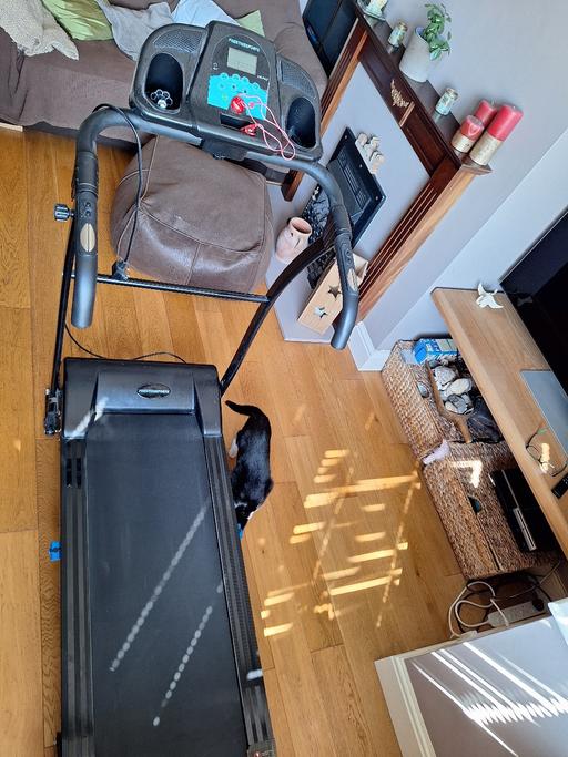 Buy & Sell East Sussex Hastings - Photos for Prestige sports treadmill