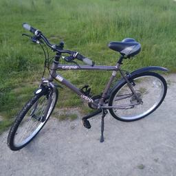 Jackal shogun bike hotsell