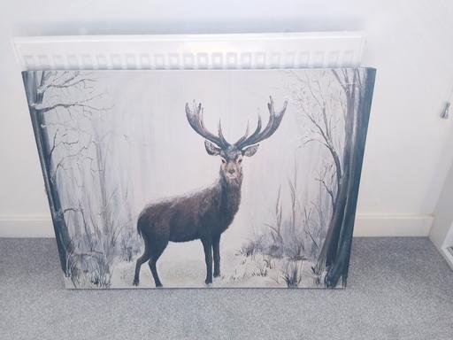 Buy & Sell Peterborough Hampton Water - Plymouth - Photos for Large Stag Canvas Wall 80x60cm