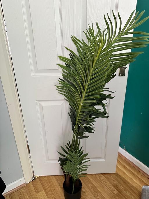 Buy & Sell South Yorkshire Sheffield - Photos for Artificial Potted Plant