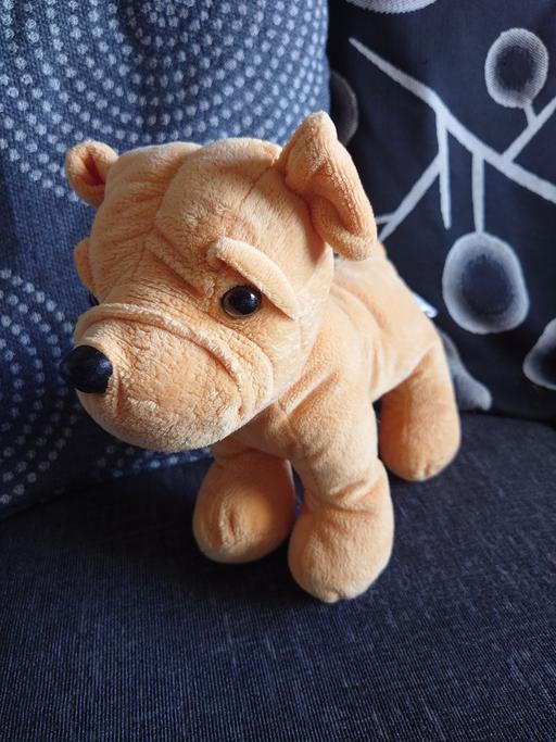 Buy & Sell Leicestershire Charnwood - Photos for Dog soft toy