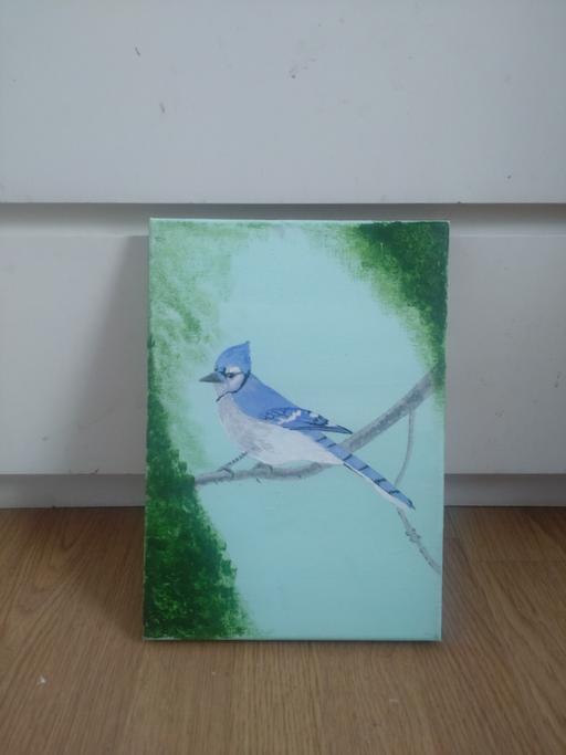 Buy & Sell East London Bethnal Green - East London - Photos for blue bird jay