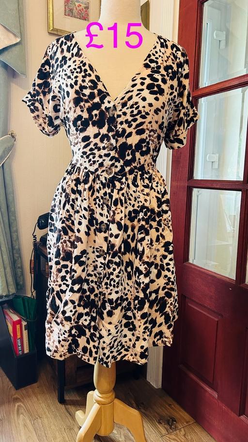 Buy & Sell Shropshire Wheathill - Shropshire - Photos for BNWT size 16 print dress