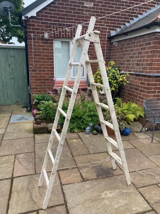 Buy & Sell Cheshire West and Chester Blacon - Cheshire West and Chester - Photos for Step ladder / extendable ladder