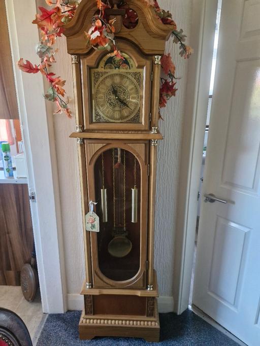 Buy & Sell Denbighshire - Wales Prestatyn - LL19 - Photos for long case clock