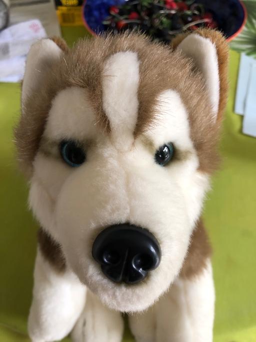 Buy & Sell South West London Merton Park - South West London - Photos for Soft toy