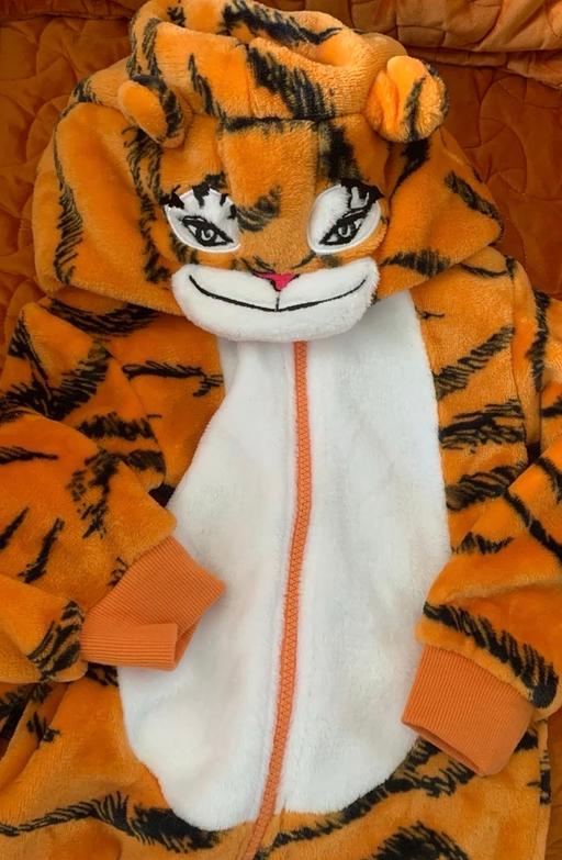 Buy & Sell East Riding of Yorkshire Leven - East Riding of Yorkshire - Photos for Child's tiger outfit used twice