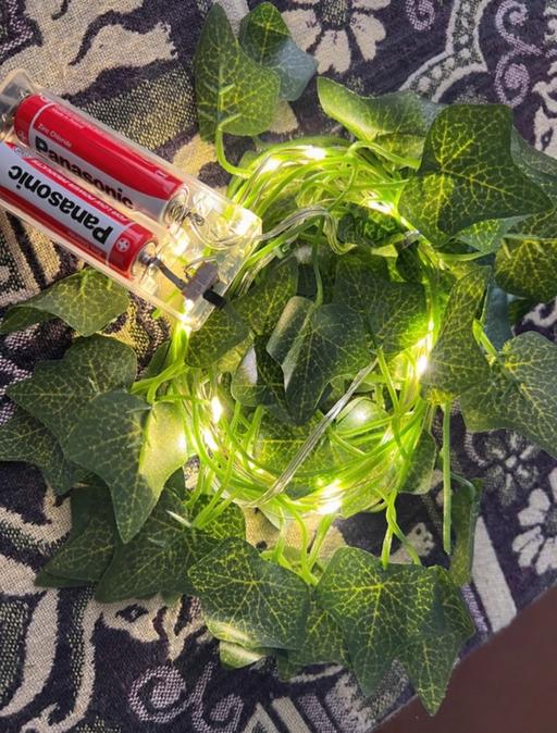 Buy & Sell East London Cann Hall - East London - Photos for LED Vine String Lights