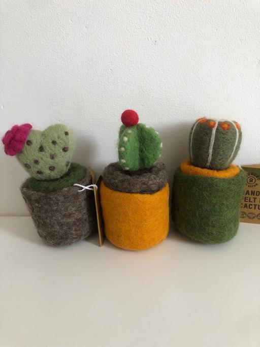 Buy & Sell East London East Ham - East London - Photos for Handmade desk top felt cactus