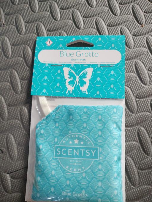 Buy & Sell Essex Rochford - Photos for scentsy blue grotto 