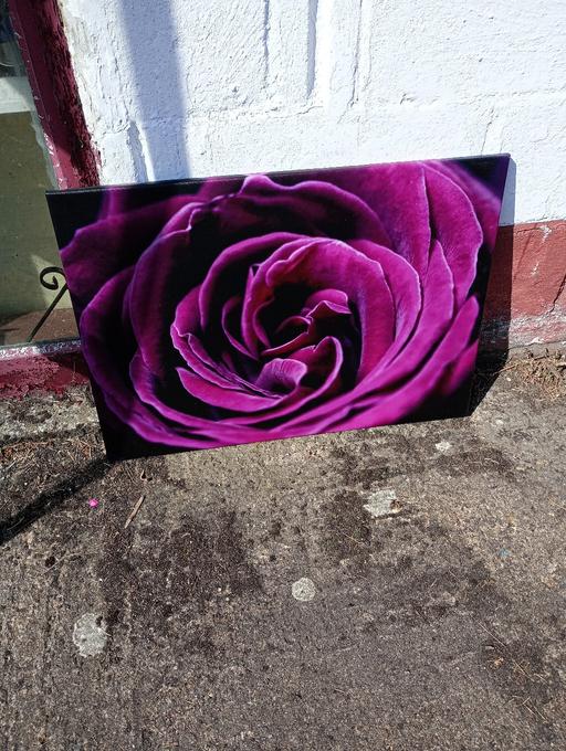 Buy & Sell Kent Dover - Photos for purple flower picture canvas