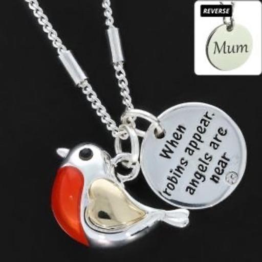 Buy & Sell Lancashire Blackpool - Photos for Robin Necklace