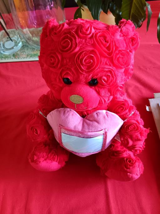 Buy & Sell West Yorkshire Leeds - Photos for Builder bear with Rose's