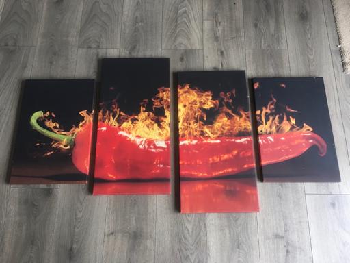 Buy & Sell Nottinghamshire Nottingham - Photos for Red hot flaming chilli pepper Canvas